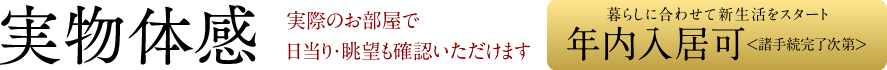 実物体感　実際のお部屋で日当り・眺望も確認いただけます｜暮らしに合わせて新生活をスタート 年内入居可＜諸手続完了次第＞