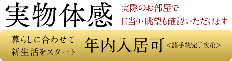 実物体感　実際のお部屋で日当り・眺望も確認いただけます｜暮らしに合わせて新生活をスタート 年内入居可＜諸手続完了次第＞