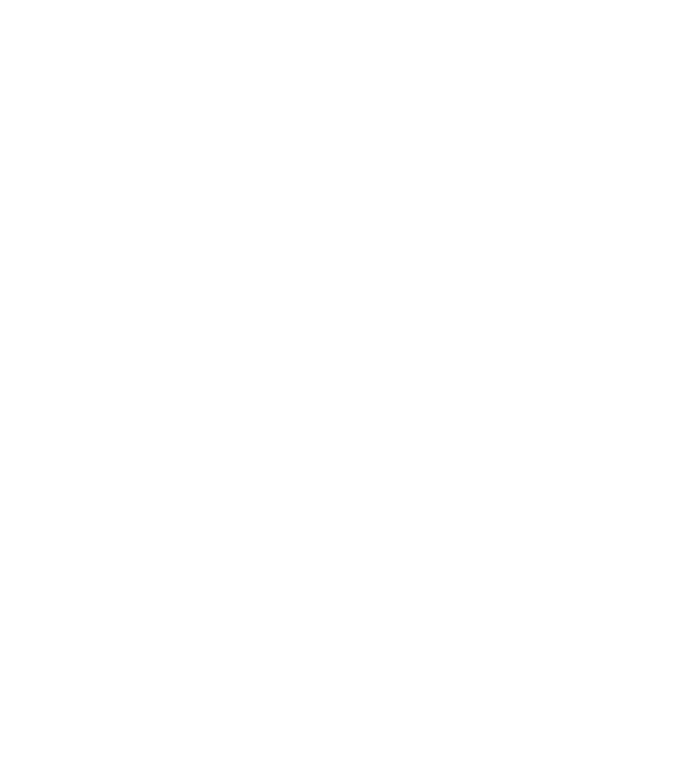 TOWER OR DREAMER