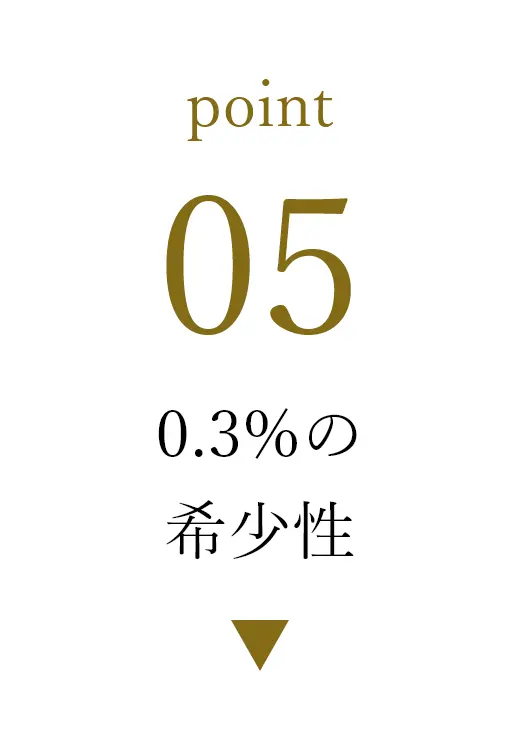 point05