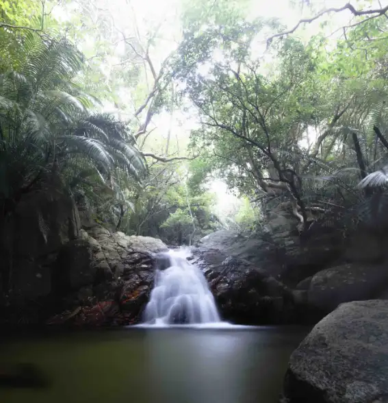 荒川の滝