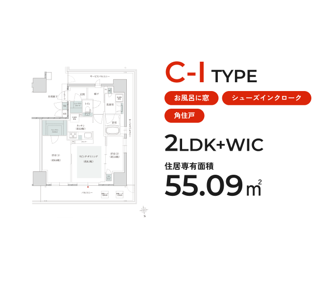 C-I TYPE